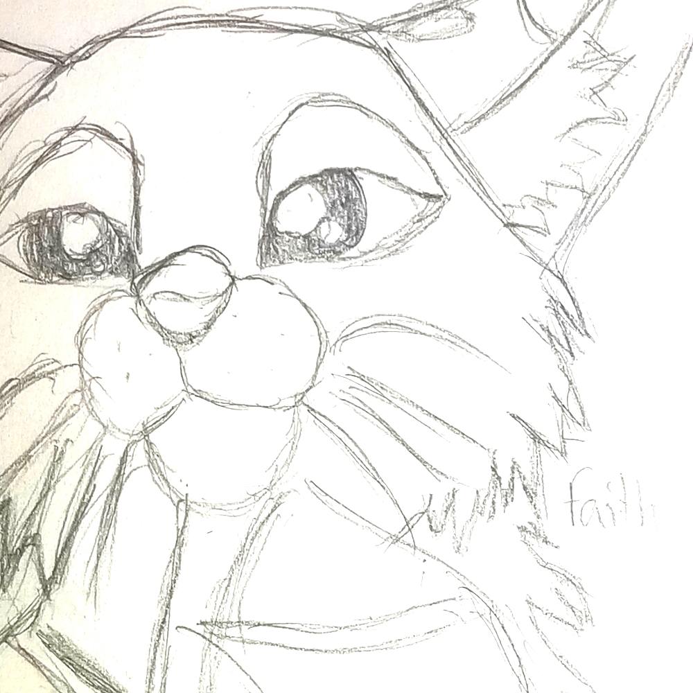 Tipper the cat drawing 😸